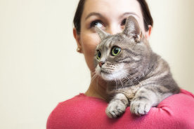 ペットOKのマンションで猫と楽しく暮らすために知っておきたい9つのこと