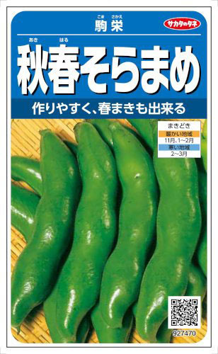  食欲の秋を目一杯楽しむにはコレ！秋から始めるベランダ菜園のポイント＆育てやすい野菜