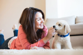 ペットにとって新しい環境はストレス！愛犬と新居に引っ越したらしてあげたい7個のこと