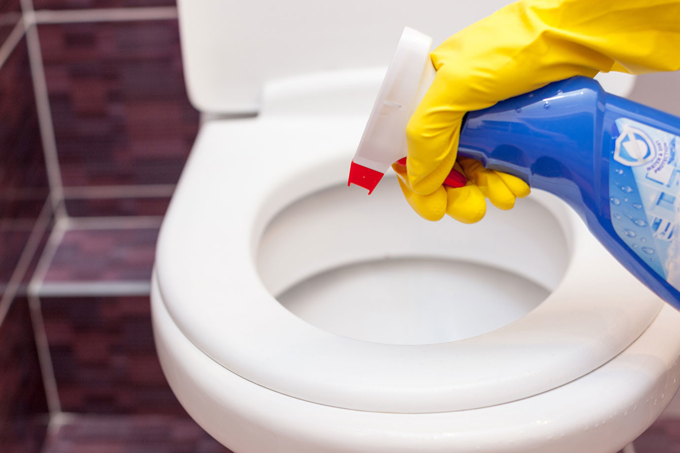 面倒なトイレ掃除が圧倒的に捗る 楽させてくれるトイレ掃除グッズ7選 Single Hack