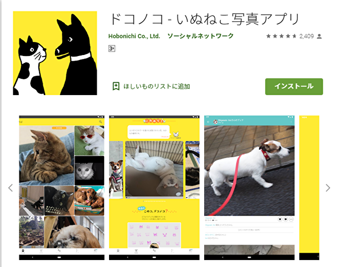 dokonoko 愛猫を災害から守る！ 避難のための3つの備えと用意すべきモノ8点
